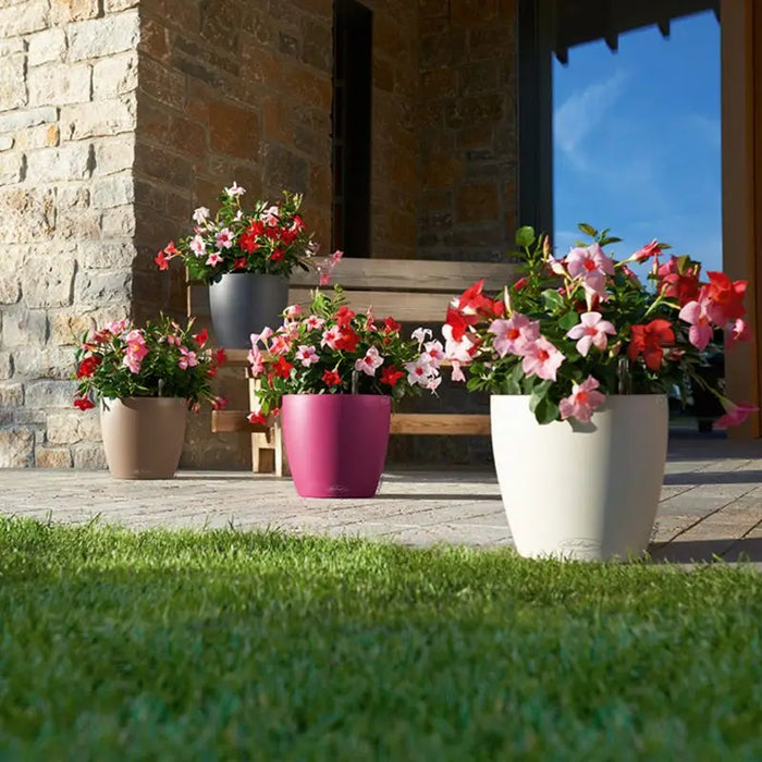 Self Watering Flower Pot (Various Sizes)